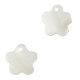 Shell charm round 8mm Flower 10-11mm White